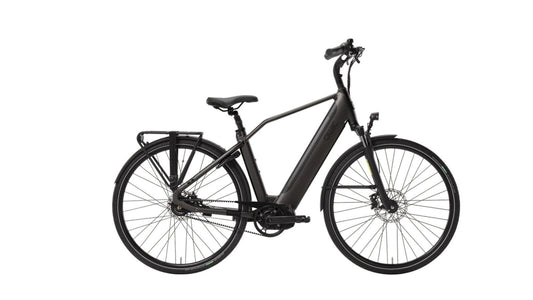E-Bike Qwic Premium i MN7+ Belt 540Wh Akku Mittelmotor Aussteller